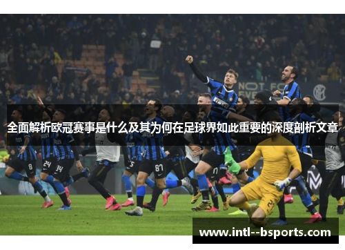 全面解析欧冠赛事是什么及其为何在足球界如此重要的深度剖析文章 全面解析欧冠赛事是什么及其为何在足球界如此重要的深度剖析文章